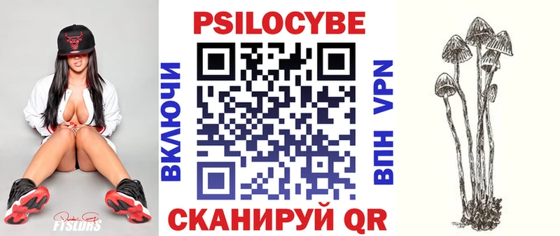 Псилоцибиновые грибы Cubensis  Ухта 